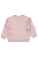 Kız Çocuk Sweatshirt 2-5 Yaş Açık Gül Kurusu - Paket