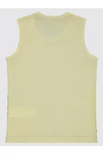 Erkek Çocuk Tişört 2-5 Yaş Taş Rengi - Paket