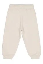 Boys' Sweatpants, Ages 2-5, Stone Color - Pack