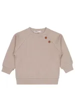 Boy Sweatshirt 2-5 Years Mink - Package
