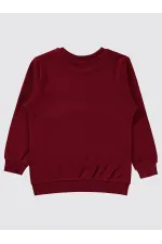 Erkek Çocuk Sweatshirt 2-5 Yaş Bordo - Paket