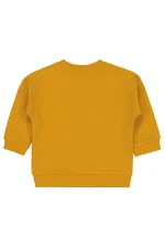 Sweat-shirt bébé 0-24 mois moutarde - Lot