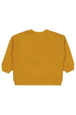 Erkek Çocuk Sweatshirt 2-5 Yaş Soft Hardal - Paket