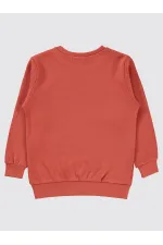 Erkek Çocuk Sweatshirt 2-5 Yaş Kiremit - Paket