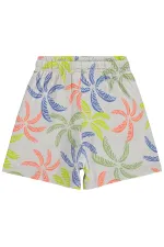 Boys' Shorts, Ages 2-5, Dark Stone Color - Package