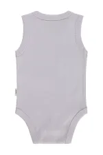 Baby Snap Bodysuit 0-24 Months Lilac - Package