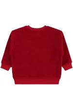 Erkek Çocuk Sweatshirt 2-5 Yaş Kırmızı - Paket