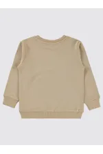 Erkek Çocuk Sweatshirt 2-5 Yaş Taş Rengi - Paket