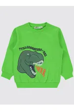 Boy Sweatshirt 2-5 Years Old Lime Green - Pack