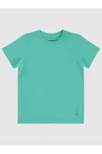 Lot de T-shirts pour garçons de 2 à 5 ans, couleur menthe