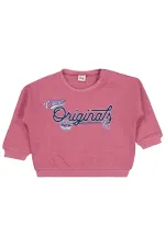 Sweat-shirt bébé 0-24 mois Rose poudré - Lot