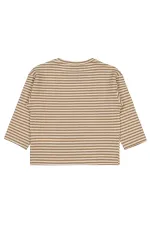 Boys Sweatshirt 2-5 Years Old Brown - Package