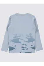 Boy Sweatshirt 6-9 Years Light Gray - Package