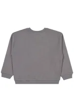 Erkek Çocuk Sweatshirt 6-9 Yaş Gri - Paket