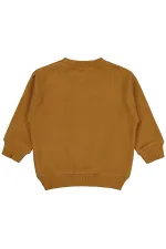 Erkek Çocuk Sweatshirt 2-5 Yaş Kahve - Paket