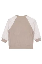 Boy Sweatshirt 2-5 Years Mink - Package