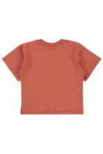 Boys T-Shirt 2-5 Years Old Dark Copper - Pack