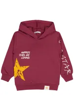 Boy Sweatshirt 2-5 Years Old Burgundy - Package