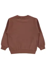 Boys' Sweatshirt Km 2-5 Years Light Brown - Package