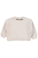 Kız Çocuk Sweatshirt 2-5 Yaş Taş Rengi - Paket