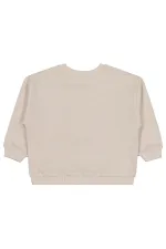 Erkek Çocuk Sweatshirt 2-5 Yaş Taş Rengi - Paket