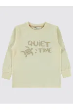 Erkek Çocuk Sweatshirt 2-5 Yaş FilDişi - Paket