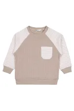 Boy Sweatshirt 2-5 Years Mink - Package