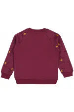 Boys Sweatshirt 6-9 Years Old Burgundy - Package