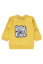 Bebek Takım 0-24 Ay Hardal - Paket