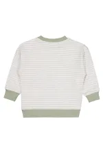 Erkek Çocuk Sweatshirt 2-5 Yaş Yeşil - Paket