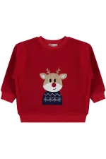 Erkek Çocuk Sweatshirt 2-5 Yaş Kırmızı - Paket