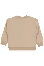 Erkek Çocuk Sweatshirt 2-5 Yaş Açık Kahve - Paket