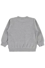 Erkek Çocuk Sweatshirt Km 2-5 Yaş Grimelanj - Paket
