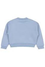 Kız Çocuk Sweatshirt 2-5 Yaş Mavi - Paket