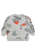 Boy Sweatshirt 2-5 Years Old Light Gray - Package