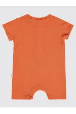 Bebek Tulum 0-24 Ay Tarçın - Paket