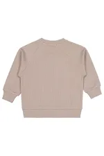 Boy Sweatshirt 2-5 Years Mink - Package