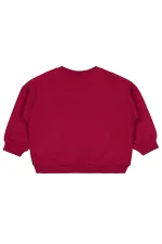 Bebek Sweatshirt 0-24 Ay Bordo - Paket