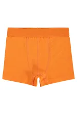 Erkek Çocuk Boxer 2-9 Yaş Saks-Turuncu - Paket