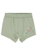 Bebek Boxer 0-24 Ay Standart - Paket