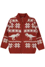 Erkek Çocuk Hırka 2-5 Yaş Koyu Bakır - Paket