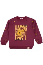 Boys Sweatshirt 6-9 Years Old Burgundy - Package