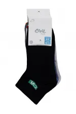 Erkek Çocuk Patik Çorap 2-9 Yaş Standart - Paket