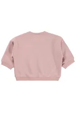 Bebek Sweatshirt 0-24 Ay Pudra Pembesi - Paket