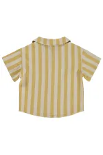 Bebek Gömlek 0-24 Ay Hardal - Paket