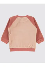 Bebek Sweatshirt 0-24 Ay Pudra - Paket