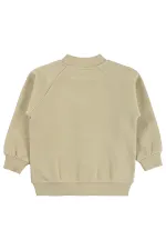 Erkek Çocuk Hırka 2-5 Yaş Vizon - Paket