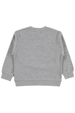 Kız Çocuk Sweatshirt Km 2-5 Yaş Grimelanj - Paket