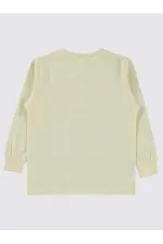 Erkek Çocuk Sweatshirt 2-5 Yaş FilDişi - Paket