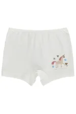 Bebek Boxer 0-24 Ay Standart - Paket